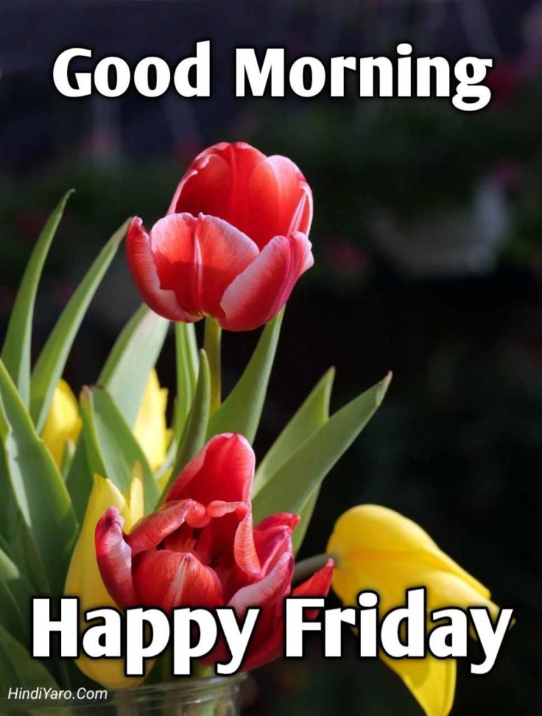 Good Morning Happy Friday Images 