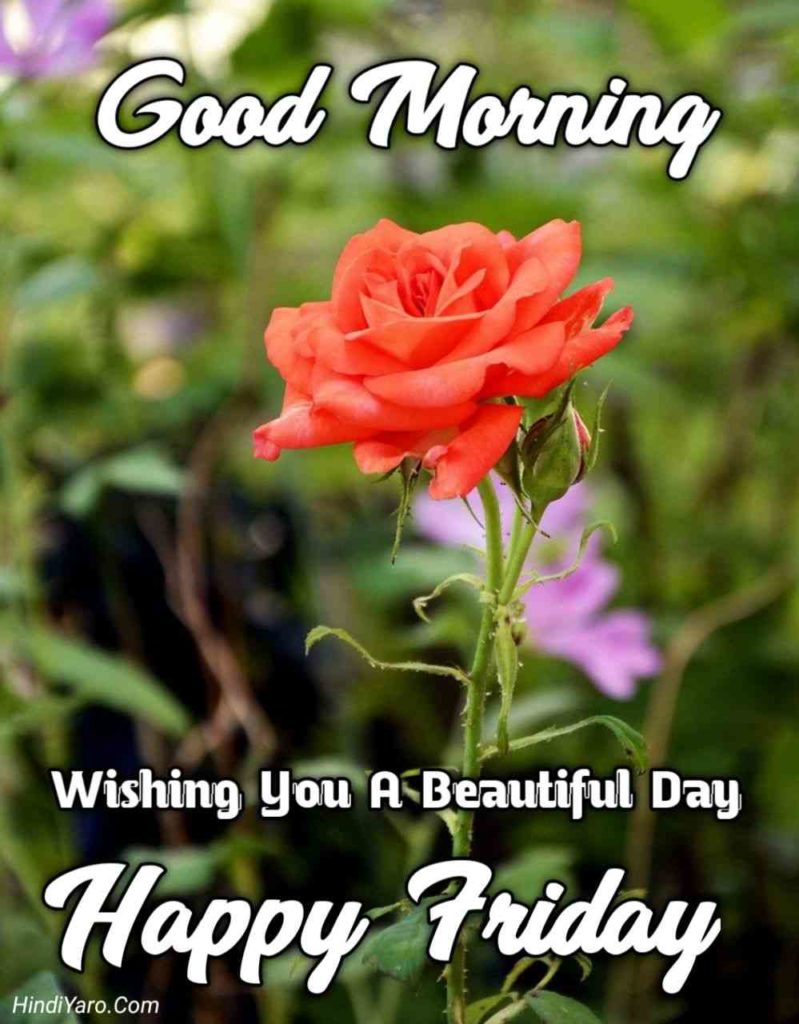 Good Morning Happy Friday Images 