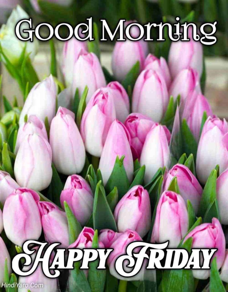 Good Morning Happy Friday Images 