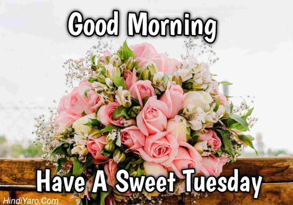 Tuesday Good Morning Images