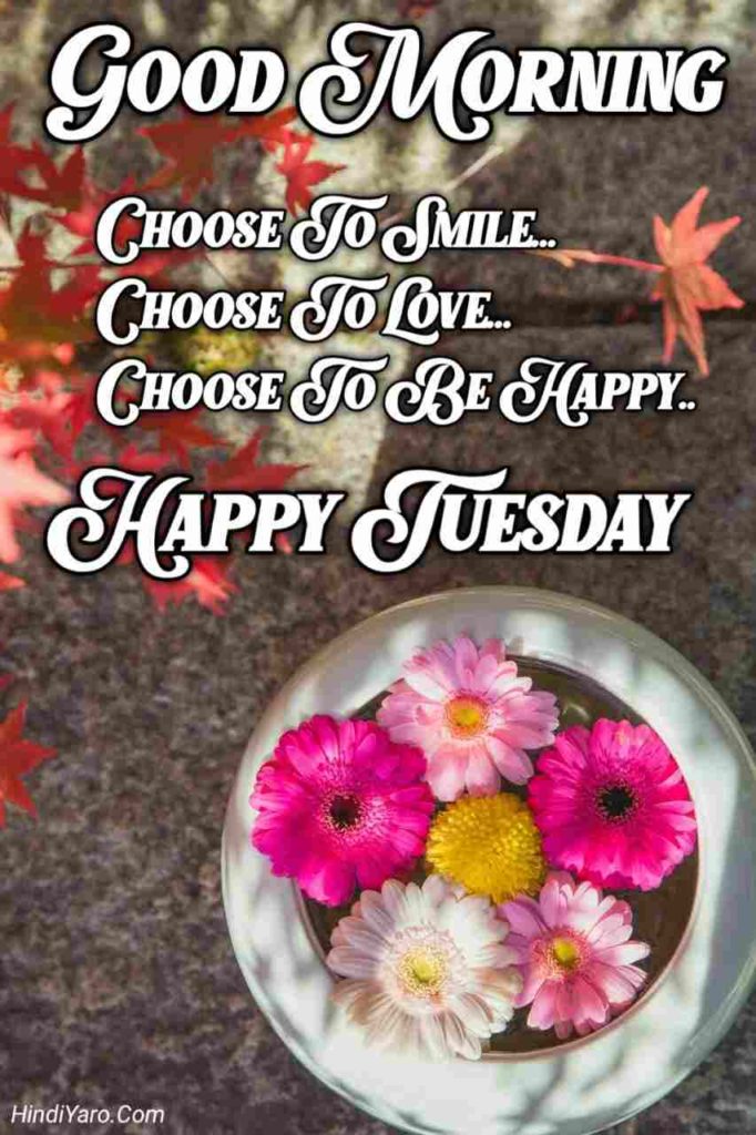 Tuesday Good Morning Images