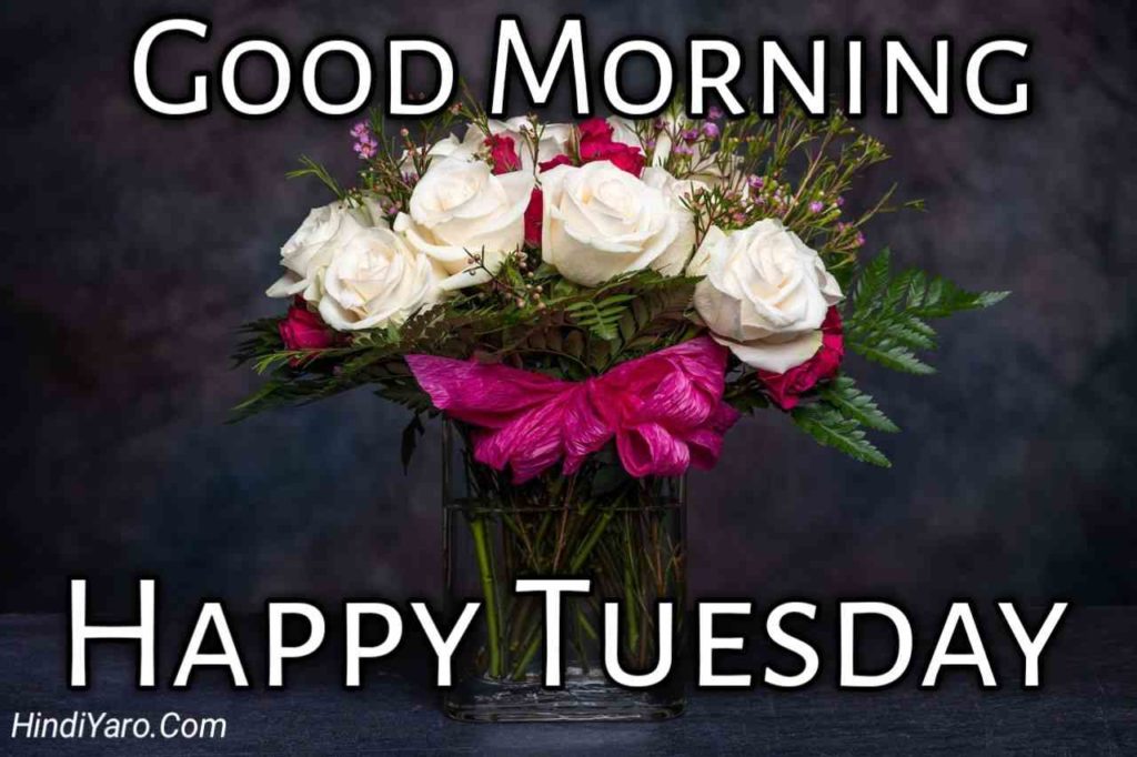 Tuesday Good Morning Images