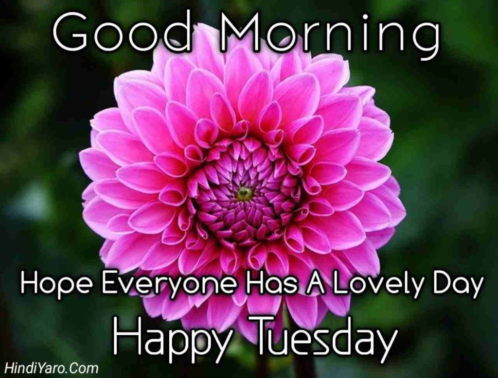 Tuesday Good Morning Images
