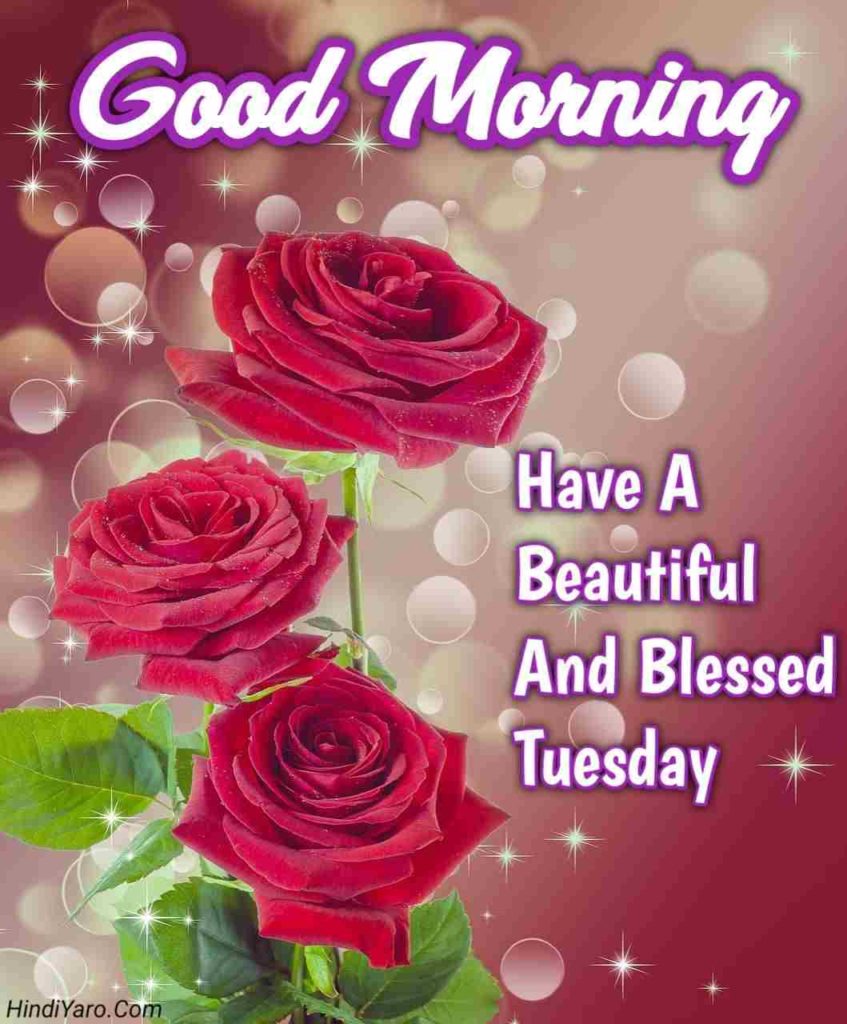 Tuesday Good Morning Images