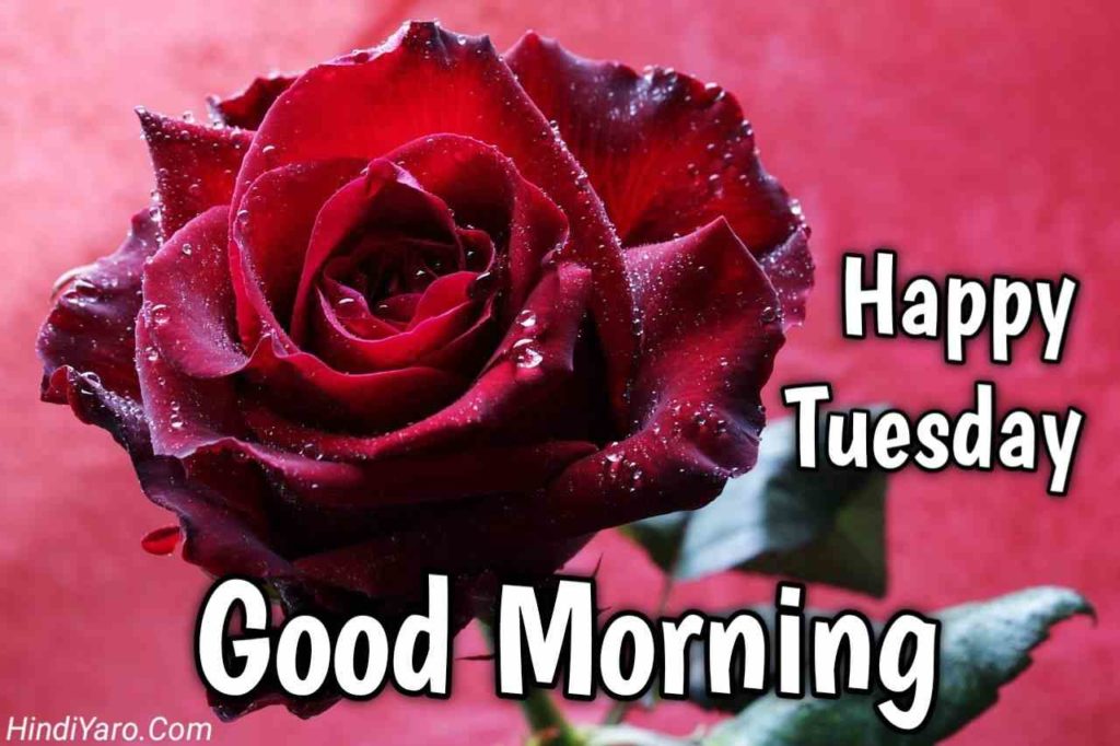 Tuesday Good Morning Images