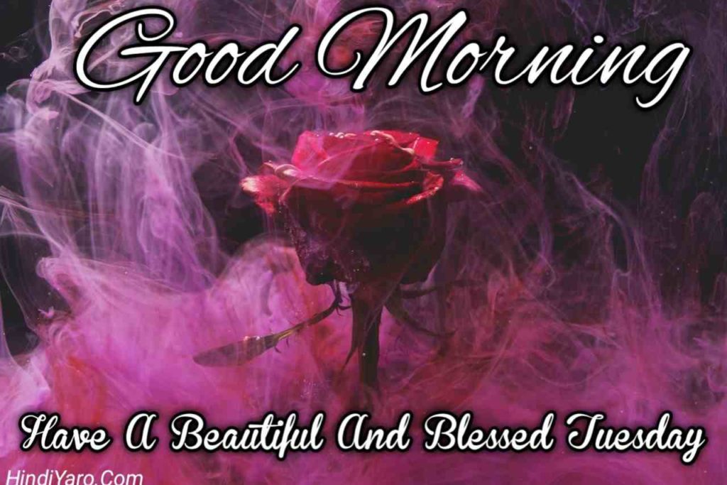 Tuesday Good Morning Images