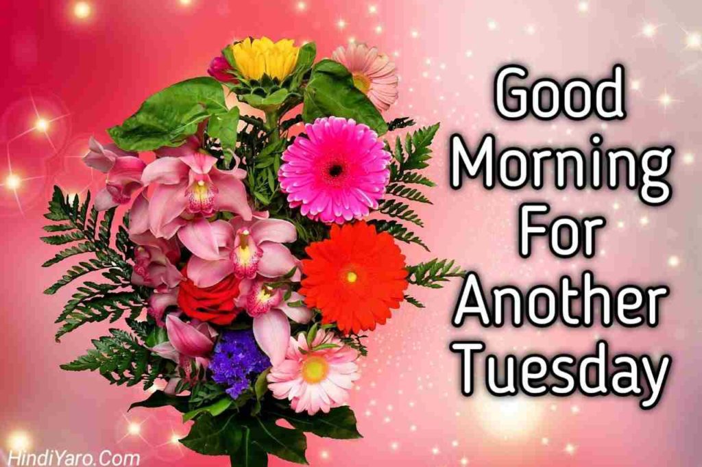 Tuesday Good Morning Images