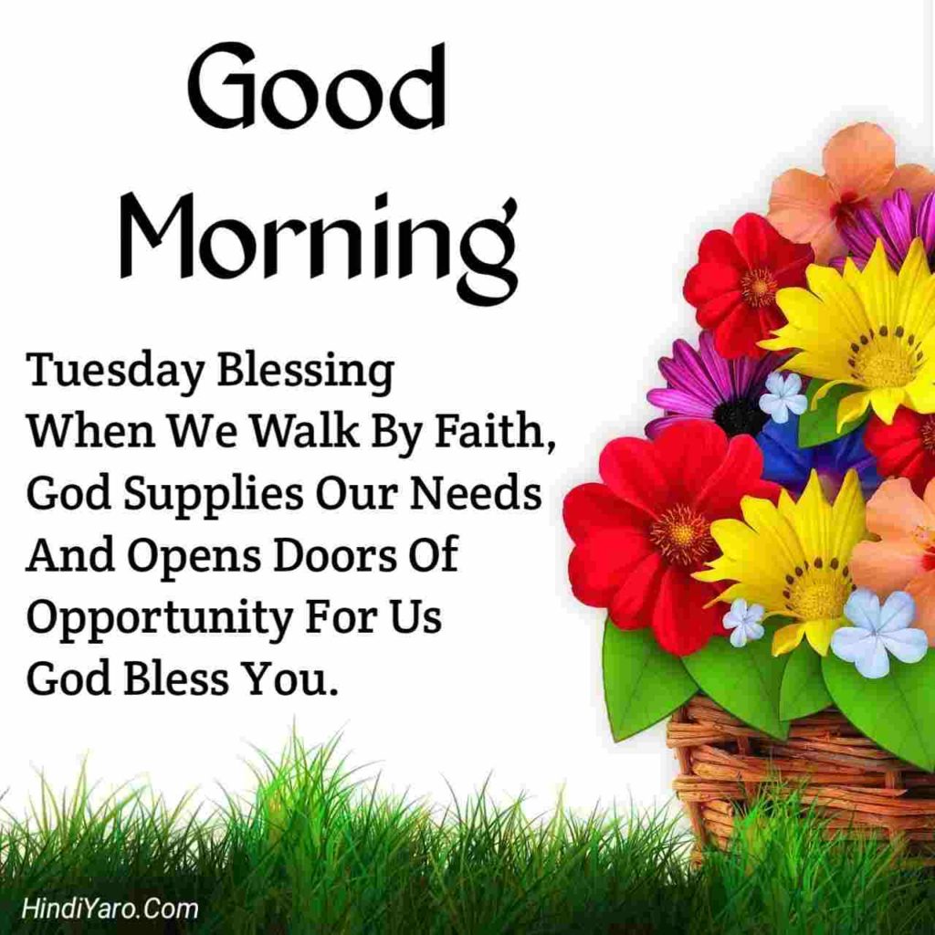 Tuesday Good Morning Images
