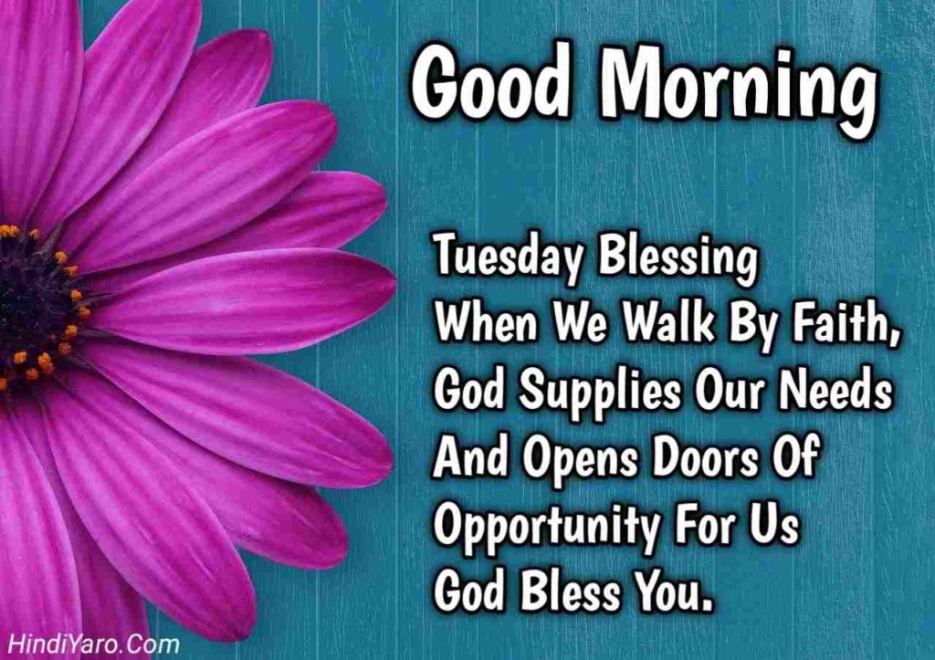 Tuesday Good Morning Images