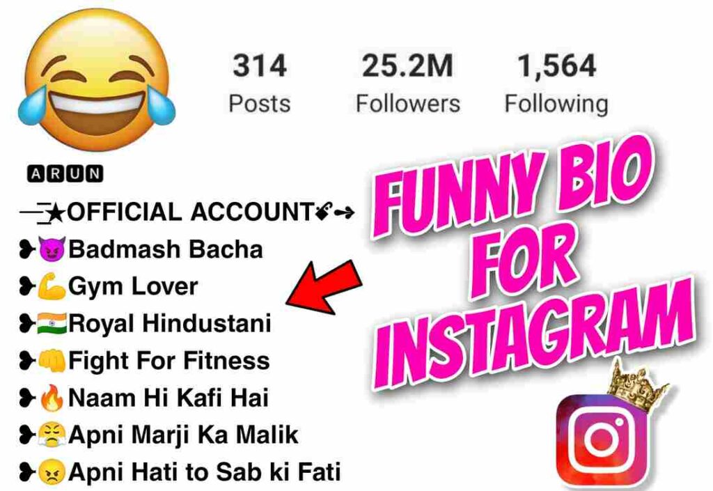Funny Bio for Instagram