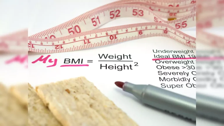 2025's Most Accurate and Easy-to-Use BMI Calculators for Health Tracking