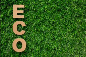 Eco-Friendly Football: Sustainable Innovations on the Pitch