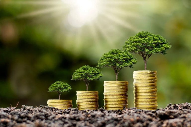 How to Choose Sustainable Green Investment Options Effectively