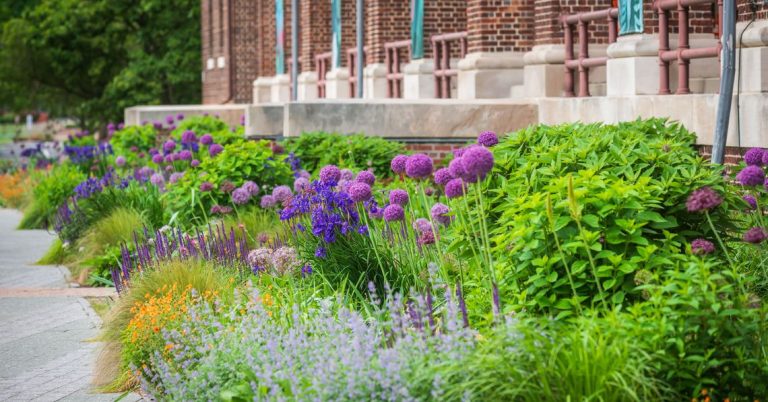 How to Build an Eco-Friendly Garden