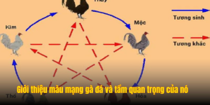 Color Chart of Fighting Roosters: How to Analyze and Choose the Right Fighting Rooster