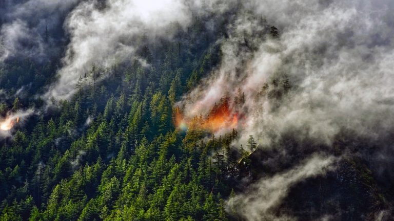 Mile High Fire Watch Altitude Changes Everything Mile High Fire Watch Altitude Changes Everything